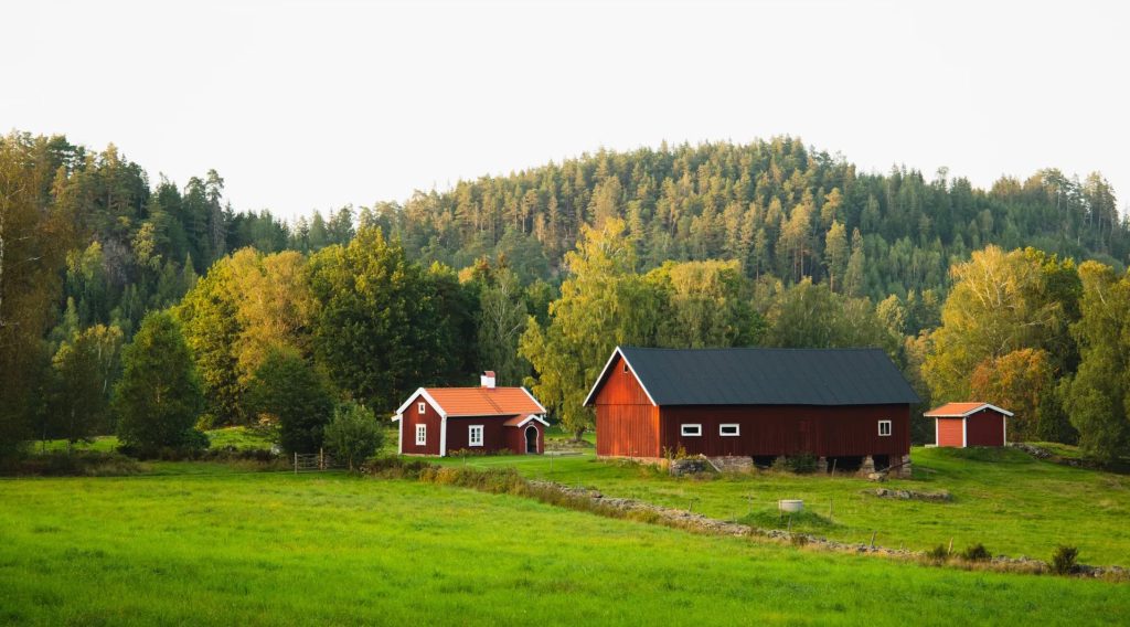 Håltorpet (15)